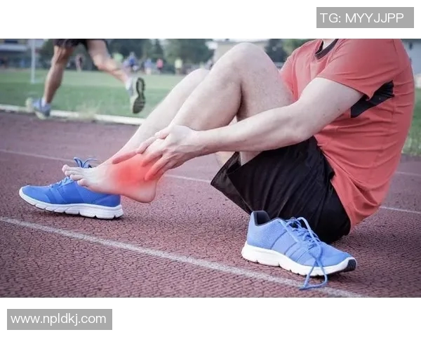 从零起步掌握极限运动技巧与全方位攻略指南 从零起步掌握极限运动技巧与全方位攻略指南