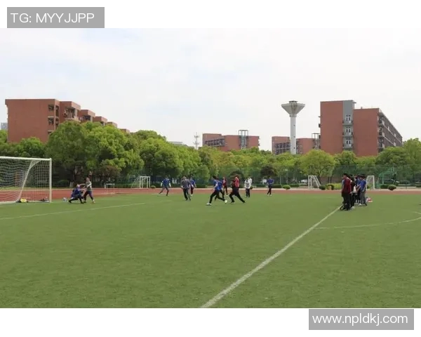 南京飞盘队进攻策略分析与比赛表现评估探讨