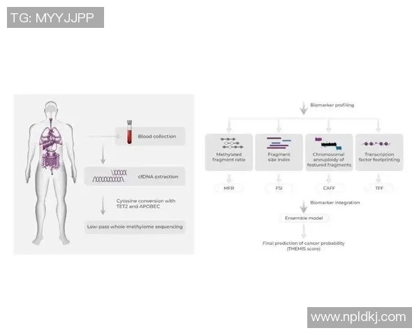 广州篮球队团队协作表现的数据分析与提升策略探讨