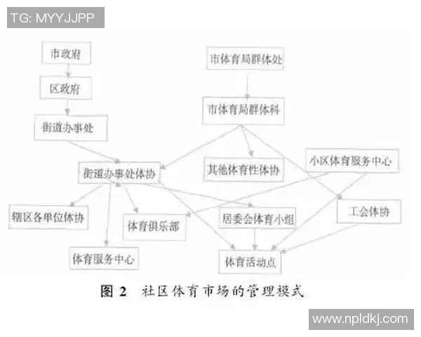 广州排球队的节奏体系与排球战术创新探讨 广州排球队的节奏体系与排球战术创新探讨
