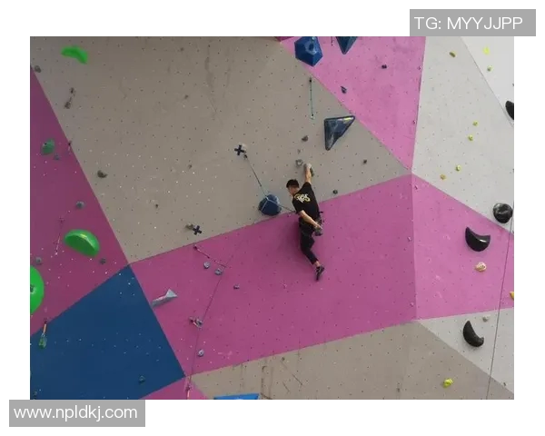 杭州攀岩队与北京攀岩队赛后心理素质对比分析与反思