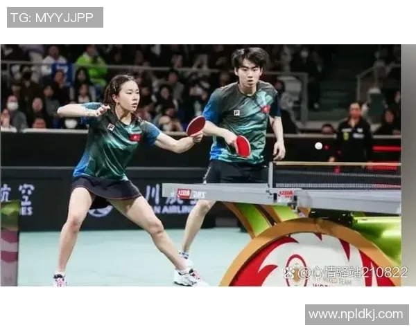 武汉乒乓球队进攻战术揭秘深度解析乒乓球技术与团队协作