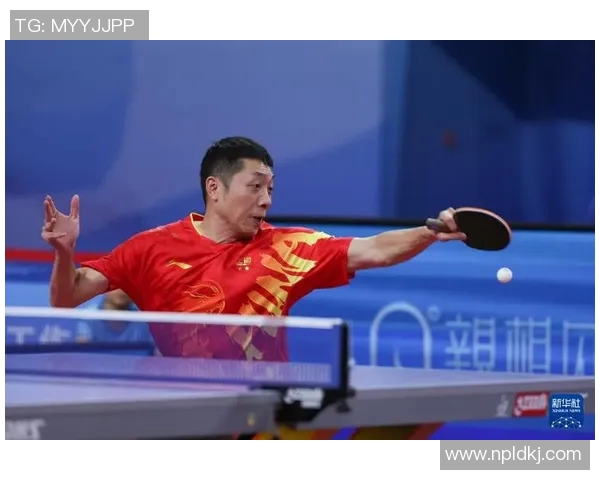 乒乓球实力排行榜揭晓上海乒乓球队荣获第三名佳绩