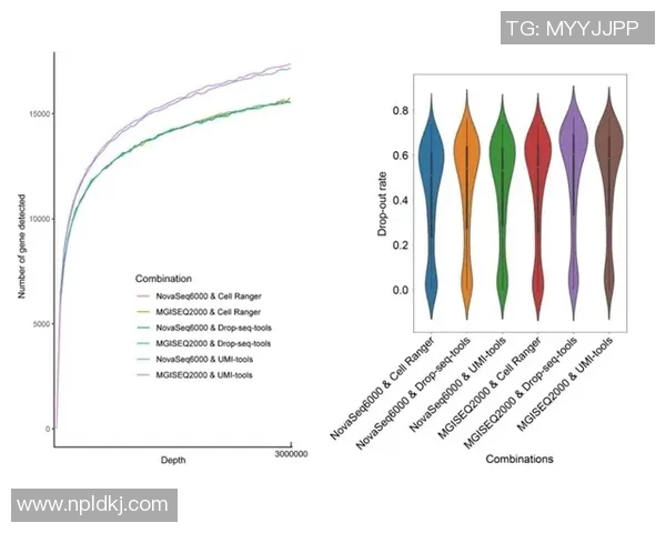 武汉羽毛球队实力分析与表现评估的全面数据研究