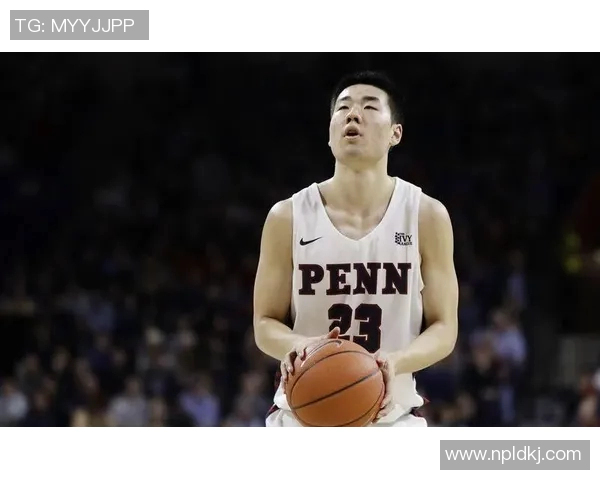 王泉泽：从篮球新星到职业生涯的璀璨之路与未来展望