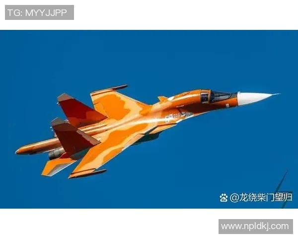 阿尔及利亚与俄罗斯的对抗赛分析及未来展望