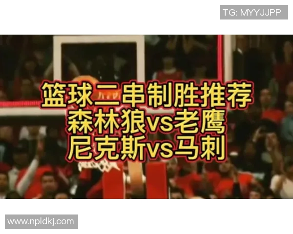 篮球对决聚焦尼日利亚与中国队的精彩较量与战术分析