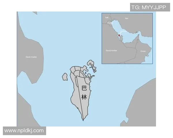 阿联酋与巴林最新对决分析及比赛前瞻全面解读