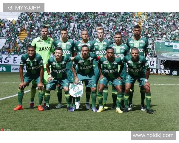 沙佩科与累体育激战正酣谁将赢得这场精彩对决的胜利