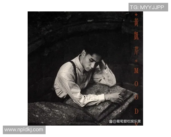 王岚的音乐旅程与人生哲学探索：从歌坛新星到文化传承者的成长之路