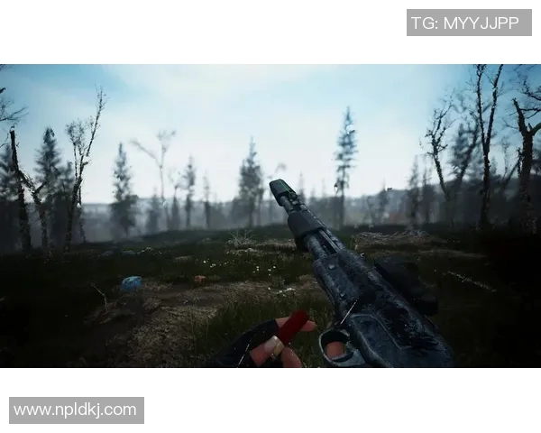 图拉兵工厂与泽的较量：历史渊源与现代发展之路探讨