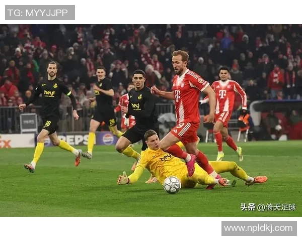 多特蒙德与拜仁慕尼黑足彩直播全程回顾与精彩瞬间分析