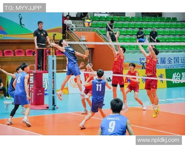 重庆排球队技术解析：从基本功到战术运用的全面探讨与提升