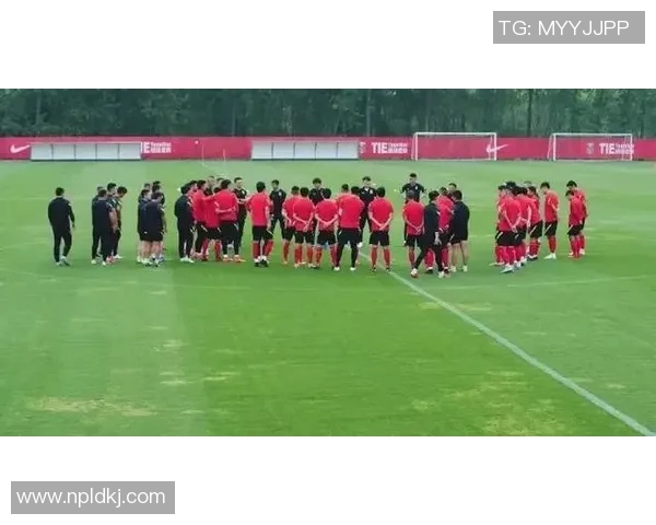 北京乒乓球队耐力问题引发热议球迷与专家各执己见探讨真相MBA